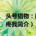 头号猎物：南少 疼我（关于头号猎物：南少 疼我简介）