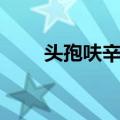 头孢呋辛片（关于头孢呋辛片简介）