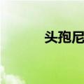 头孢尼西（关于头孢尼西简介）