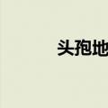 头孢地嗪（关于头孢地嗪简介）