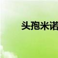 头孢米诺钠（关于头孢米诺钠简介）