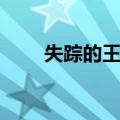 失踪的王妃（关于失踪的王妃简介）