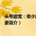 头号甜宠：帝少的掌中宝妻（关于头号甜宠：帝少的掌中宝妻简介）
