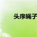 头序蝇子草（关于头序蝇子草简介）