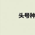 头号种子（关于头号种子简介）