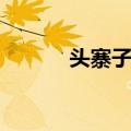头寨子村（关于头寨子村简介）