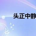 头正中静脉（关于头正中静脉简介）