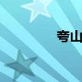 夸山东（关于夸山东简介）