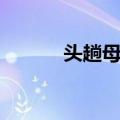 头趟母架（关于头趟母架简介）