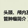 头颈、颅内及椎管肿瘤（关于头颈、颅内及椎管肿瘤简介）