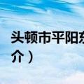 头顿市平阳东酒店（关于头顿市平阳东酒店简介）