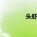 头虾纲（关于头虾纲简介）
