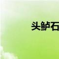 头鲈石岛（关于头鲈石岛简介）