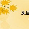 头目A（关于头目A简介）