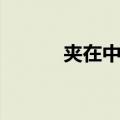 夹在中间（关于夹在中间简介）