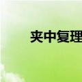 夹中复理石（关于夹中复理石简介）