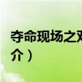 夺命现场之双面人（关于夺命现场之双面人简介）