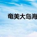 奄美大岛海战（关于奄美大岛海战简介）