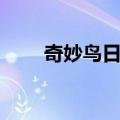 奇妙鸟日子（关于奇妙鸟日子简介）