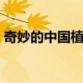 奇妙的中国植物（关于奇妙的中国植物简介）