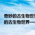 奇妙的古生物世界——古生物化石科普知识百问（关于奇妙的古生物世界——古生物化石科普知识百问简介）