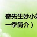 奇先生妙小姐-第一季（关于奇先生妙小姐-第一季简介）