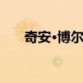 奇安·博尔格（关于奇安·博尔格简介）