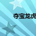 夺宝龙虎斗（关于夺宝龙虎斗简介）