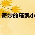 奇妙的塔凯小姐（关于奇妙的塔凯小姐简介）