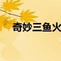 奇妙三鱼火锅（关于奇妙三鱼火锅简介）