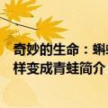 奇妙的生命：蝌蚪怎样变成青蛙（关于奇妙的生命：蝌蚪怎样变成青蛙简介）