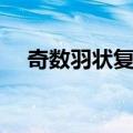 奇数羽状复叶（关于奇数羽状复叶简介）
