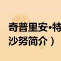 奇普里安·特特鲁沙努（关于奇普里安·特特鲁沙努简介）