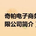 奇帕电子商务有限公司（关于奇帕电子商务有限公司简介）