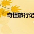 奇怪旅行记录（关于奇怪旅行记录简介）