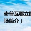 奇普瓦郡立国际机场（关于奇普瓦郡立国际机场简介）