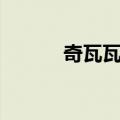 奇瓦瓦市（关于奇瓦瓦市简介）