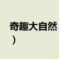 奇趣大自然 上下（关于奇趣大自然 上下简介）