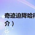 奇迹迫降哈得孙河（关于奇迹迫降哈得孙河简介）