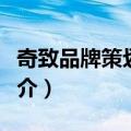 奇致品牌策划机构（关于奇致品牌策划机构简介）