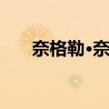 奈格勒·奈特（关于奈格勒·奈特简介）