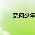 奈何少年狂（关于奈何少年狂简介）