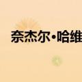 奈杰尔·哈维斯（关于奈杰尔·哈维斯简介）