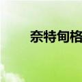 奈特甸格利（关于奈特甸格利简介）