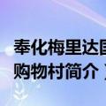奉化梅里达国际购物村（关于奉化梅里达国际购物村简介）