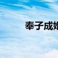 奉子成婚1（关于奉子成婚1简介）
