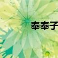 奉奉子玲（关于奉奉子玲简介）