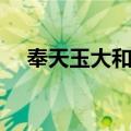 奉天玉大和尚（关于奉天玉大和尚简介）