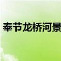 奉节龙桥河景区（关于奉节龙桥河景区简介）