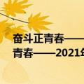 奋斗正青春——2021年五四青年节特别节目（关于奋斗正青春——2021年五四青年节特别节目简介）